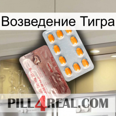 Возведение Тигра new13